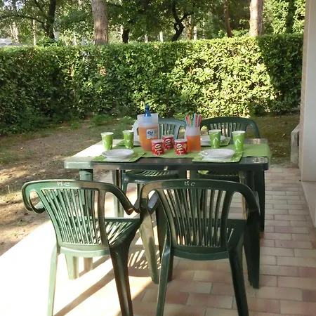 Gemini Bibione Pineda